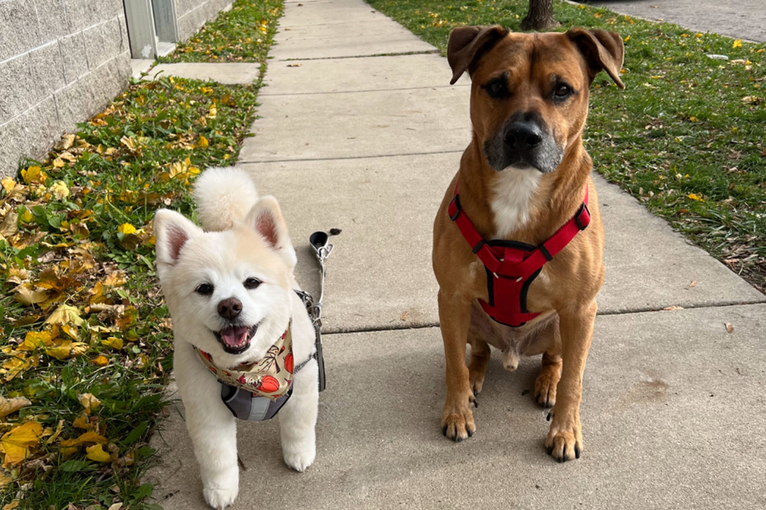 Riley and Kai