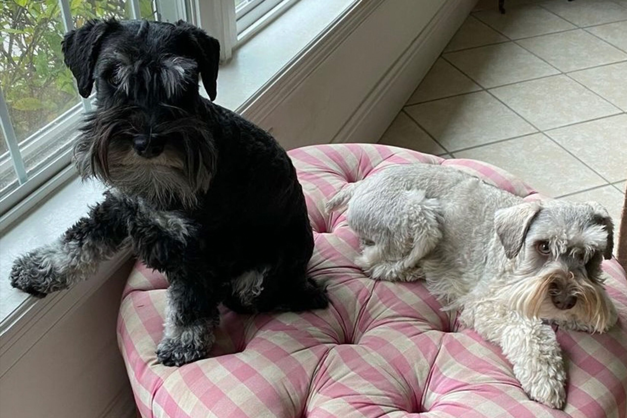 Karl and Lincoln